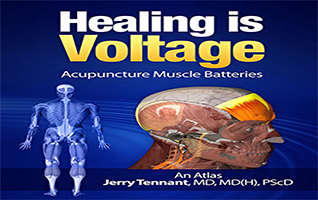 Healing is Voltage…A new “Paradigm”